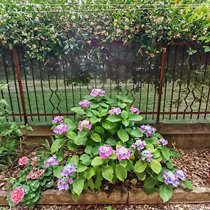 Apartamento Casa Di Serena, Mestre